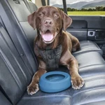 Splash Free Wander Water Bowl By Kurgo Blue. Fixed Price $16.45.