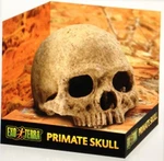 Exo Primate Skull Hide - Terrarium Decor For Reptiles And Amphibians. Fixed Price $26.99.