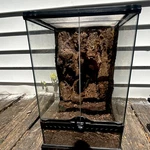 Exo Glass Terrarium With Naturalistic Background & Front-opening Door. Fixed Price $100.00.