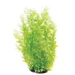 Underwater Treasures White Tipped Cardamine Plant Select Size:: 16 Inch. Fixed Price $13.69.