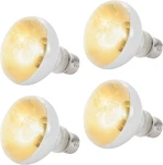 Calpalmy (4-PACK 100W Reptile Heat Lamp Bulbs Uva Daylight Basking. Fixed Price $25.95.