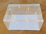 Acrylic Spider Terrarium Reptile Breeding Box. Fixed Price $29.99.
