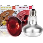 Reptiking Reptile Heat Lamp, 2 Pack Intense And Infrared Watts, White. Fixed Price $18.98.