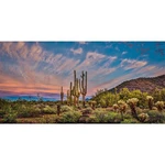 Awert 30X12 Inches Terrarium Background Blue Sky Cloud Huge Cactus Oasis Gobi.... Fixed Price $13.27.
