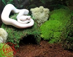 Galapagos Mossy Dome Hide, 6 In, Green. Fixed Price $27.99.