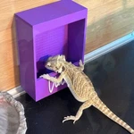 Repti-feed, Reptile Feeder, Customizable / Personalized, With Names, Magnetic. Fixed Price $21.93.