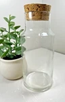 Clear Glass Cylinder Bottle Terrarium W/ Cork Stopper 8" X 3.5". Fixed Price $19.97.