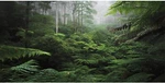 Awert Foggy Forest Terrarium Background Green Tree Reptile 36X18IN/90X45CM. Fixed Price $18.99.