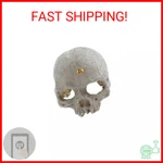 Emours Reptile Hideout Skull Vivarium Aquarium Fish Tank Resin Ornament Cave Dec. Fixed Price $16.93.