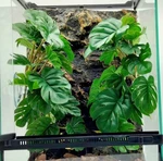 Keruideng Reptile Terrarium Plants, Amphibian Habitat Decor, Snake Tank. Fixed Price $31.99.