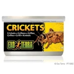 Exo Terra Crickets - 1.2 Oz. Fixed Price $8.29.