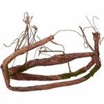 Penn-plax 5 Ft Bendable Climbing Vines For Reptile Habitats *distressed Pkg. Fixed Price $15.99.