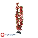 Ra Red/green Bacopa - 20" (2 Pack). Fixed Price $25.97.