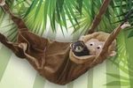 Marshall Hanging Ferret Hammock, Monkey. Fixed Price $34.33.