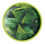 Zoo Med Natural Bush Plant Mexican Phyllo. Fixed Price $8.99.