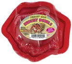 Hermit Crab Bright Bowls Red Each. Fixed Price $15.15.