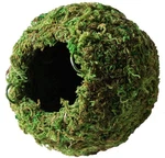 6 Inch Galapagos 05348 Green Sphagnum Mossy Cave Hide Reptile Terrarium. Fixed Price $28.81.