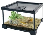 Mini Reptile Glass Terrarium Tank X7.9 X5.7 Micro Habitat Enclosu. Fixed Price $46.51.