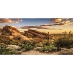 Awert Terrarium Background 36X18 Inches Reptile Habitat Blu. Fixed Price $13.88.