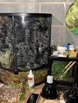 Chameleon Terrarium Complete Starter Kit Pre-owned Vivarium Heat Lamp $550+VAL. Fixed Price $219.99.