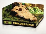 Exo Terra Crocodile Skull PT-2856. Fixed Price $19.99.