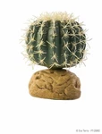 Exo Terra Barrel Cactus. Fixed Price $16.69.