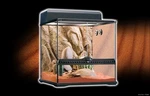 Exo Terra Reptile Glass Natural Habitat Kit Desert /starter 18". Fixed Price $149.00.