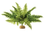 Exo Boston Fern Artificial Plant For Terrariums Multi Color Medium Size. Fixed Price $21.59.