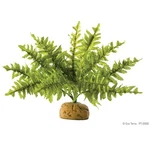 Exo Terra Rainforest Plant - Boston Fern Small. Fixed Price $15.68.
