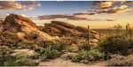 Awert Reptile Habitat Background Blue Sky Oasis Cactus Sun And Desert Terrarium. Fixed Price $13.78.