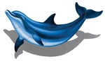 Shadow Bottlenose Dolphin-b 36"X20" (custom Mosaics Inc PORC-BD2-36/SH). Fixed Price $617.45.
