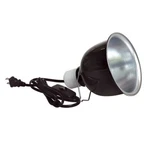 Ra Mini Deep Dome Lamp Fixture - 5.5". Fixed Price $27.83.