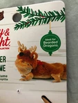 Merry & Bright Bearded Dragon Reindeer Christmas Costume Outfit New Card. Fixed Price $8.95.