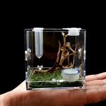 Awxzom Spider Terrarium, Acrylic Reptile Breeding Box Jumping Clear. Fixed Price $17.57.