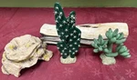 4PCS Reptile Shelter Cave , Log Cactus Succulent Decorations Bearded Dragon. Fixed Price $29.99.