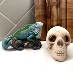 2 Pc Aquarium Resin Ceramic Tank Decor Iguana Skull / Fish Turtle Reptile Snake. Fixed Price $39.99.
