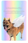 Memorial Rainbow Bridge Pet Magnet Set Of 2. Fixed Price $15.00.