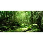 Awert Vinyl 36X24 Inches Tropical Terrarium Background Rainforest Aquarium Ba.... Fixed Price $12.55.