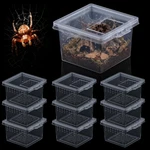 10 Pcs Insect Spider Terrariums Breeding Box Hatching Container Transparent. Fixed Price $18.70.
