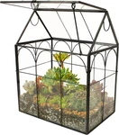 Glass Geometric Terrarium,succulent & Air Planter For Home Garden Office. Fixed Price $53.95.