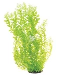 Underwater Treasures White Tipped Cardamine Plant 24 Inch Msrp $25. Fixed Price $18.95.