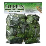 Pothos Repta-vines 6' Long By Flukers. Fixed Price $25.08.