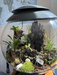 Automated Terrarium Biorb Air 60 For Tropical Plants (in Original Box). Fixed Price $350.00.