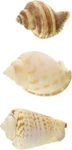 Zoo Med Hermit Crab Growth Shell Assorted Small Styles 3 PACK-9 Pieces*. Fixed Price $12.95.
