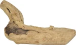 &e Cages Java Wood Reptile Branch 1EA-MD. Fixed Price $26.99.