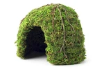 Galapagos (05366 Mossy Dome Hide, In, Green 6",. Fixed Price $21.12.