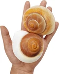 Qeqekaka Pcs Muffin Snail Large Hermit Count (pack Of 1), 2.7" 3.5". Fixed Price $14.76.