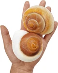 Qeqekaka Pcs Muffin Snail Large Hermit Crab Shells 2.7 3.5INCH Natural Sea Con. Fixed Price $15.66.