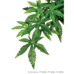 Exo Terra Silk Abutilon Plant. Fixed Price $13.99.