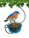 Bluebird Mealworm Feeder - Sparkling Glass Bowl With Decorative Hanging .... Fixed Price $36.00.